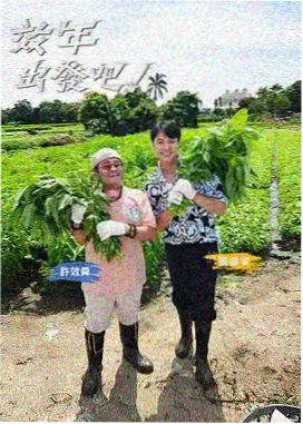 公路漫游 综艺更新速递封面
